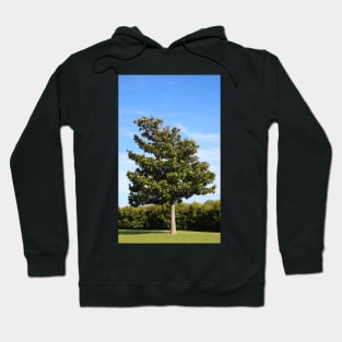 Southern Magnolia Tree Hoodie